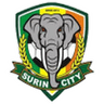 Surin logo