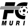 Muri logo