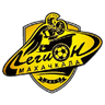 Legion Dynamo logo