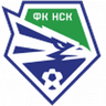 Novosibirsk logo