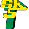 Górnik Łęczna logo