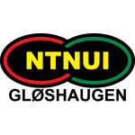 NTNUI logo