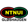NTNUI logo