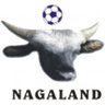 Nagaland logo