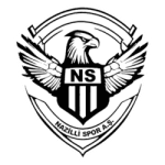 Nazilli Belediyespor logo