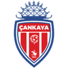 Çankaya FK logo
