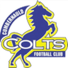Cumbernauld Colts logo