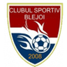 Blejoi logo