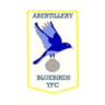 Abertillery Bluebirds logo