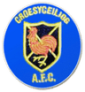 Croesyceiliog AFC logo