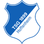 Hoffenheim U19 logo