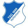 Hoffenheim U19 logo