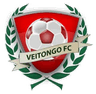 Veitongo logo