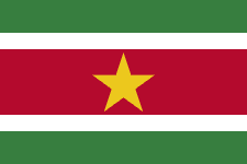 Suriname logo