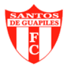 Santos DE Guapiles logo