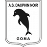 Dauphins Noirs logo