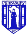 Amesbury Town logo