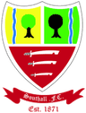 Southall logo