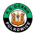 Górnik Polkowice logo