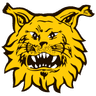 Ilves II logo