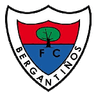 Bergantiños logo