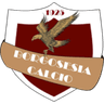Borgosesia logo