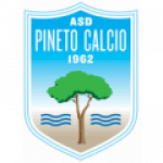 Pineto logo