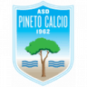 Pineto logo