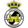 Linense logo