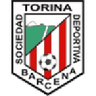 Torina logo