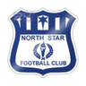 North Star logo