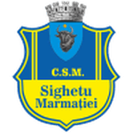 Sighetu Marmaţiei logo