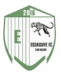 Essamaye logo